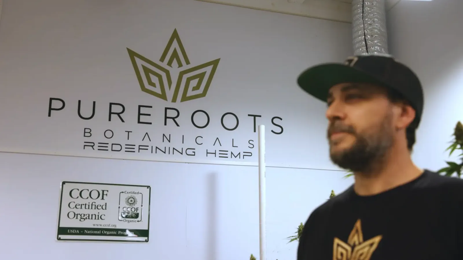 The Pure Roots Botanicals grow room, with the farm CCOF Certified Organic placard issued under the USDA National Organic Program mounted on the wall